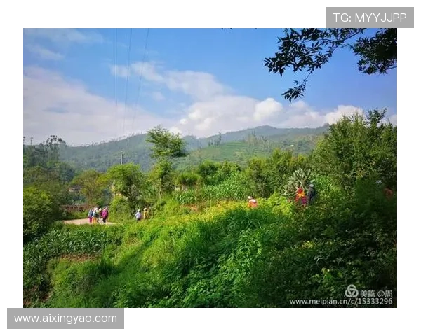 亚星娱乐客户端：多种娱乐功能一键体验提升你的休闲生活