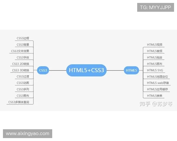 亚星娱乐最新登录网站未来发展规划，带来更精彩的娱乐内容