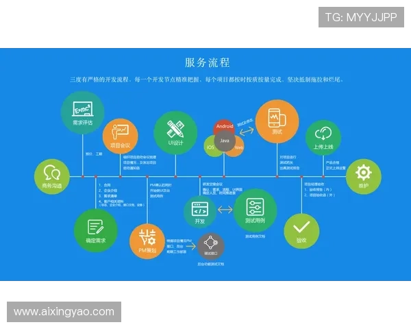 亚星官网官方服务指南，详细解析企业产品与客户支持流程