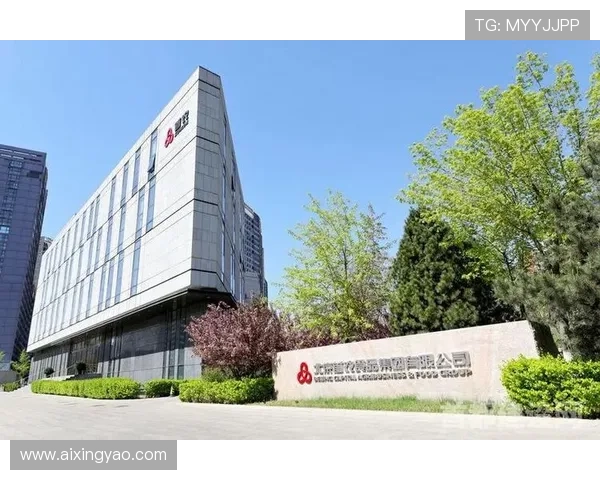 亚星国际集团香港有限公司在香港注册的优势与法律合规指南 亚星国际集团香港有限公司在香港注册的优势与法律合规指南