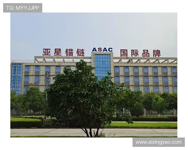 亚星锚链股吧：投资者交流心得与风险提示的实用指南