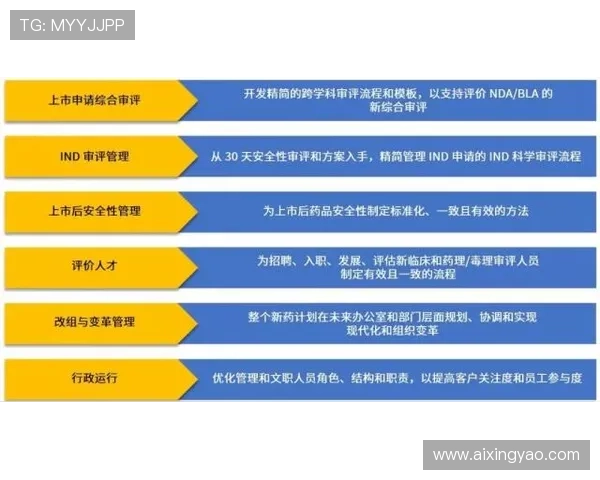 如何利用百家乐预测算法优化投注策略实现持续盈利的方法指南