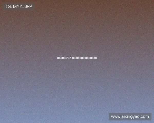 亚星地址平台：2026世界杯现场观赛指南与观众必备信息全攻略